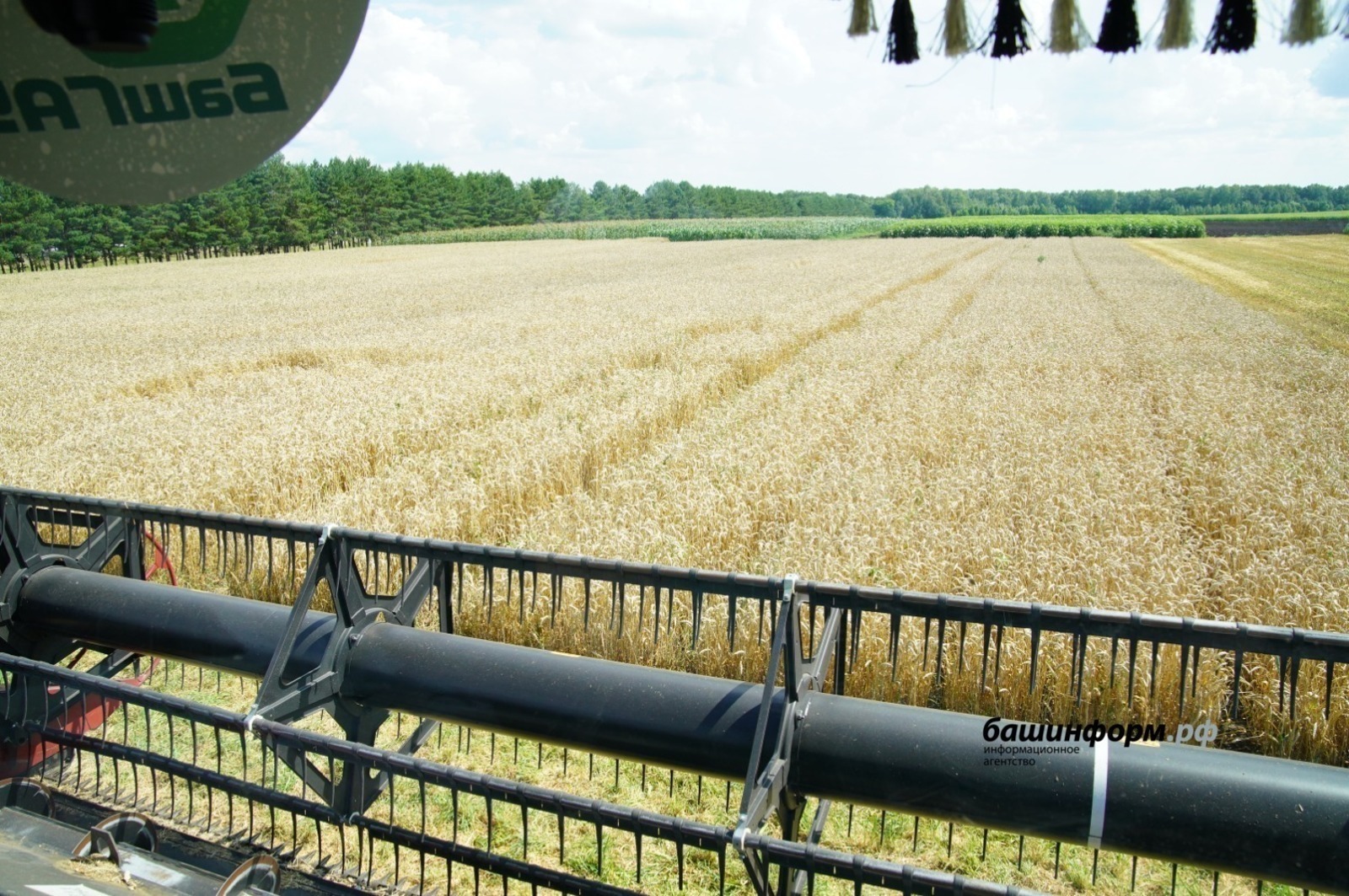 Башкирский регион наращивает свое влияние в сфере международного обмена.