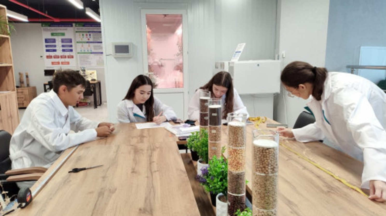 В Межвузовском кампусе Уфы провели успешный эксперимент по гибридизации гороха