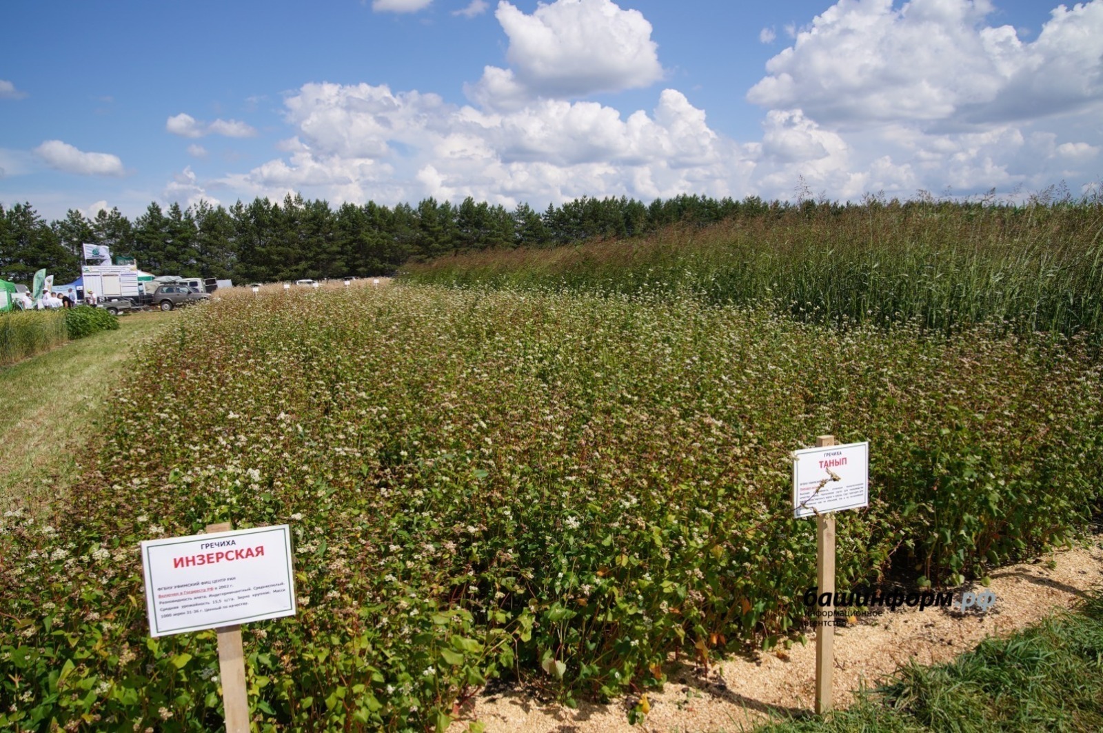 Башкирские крупы пользуются спросом на международном рынке