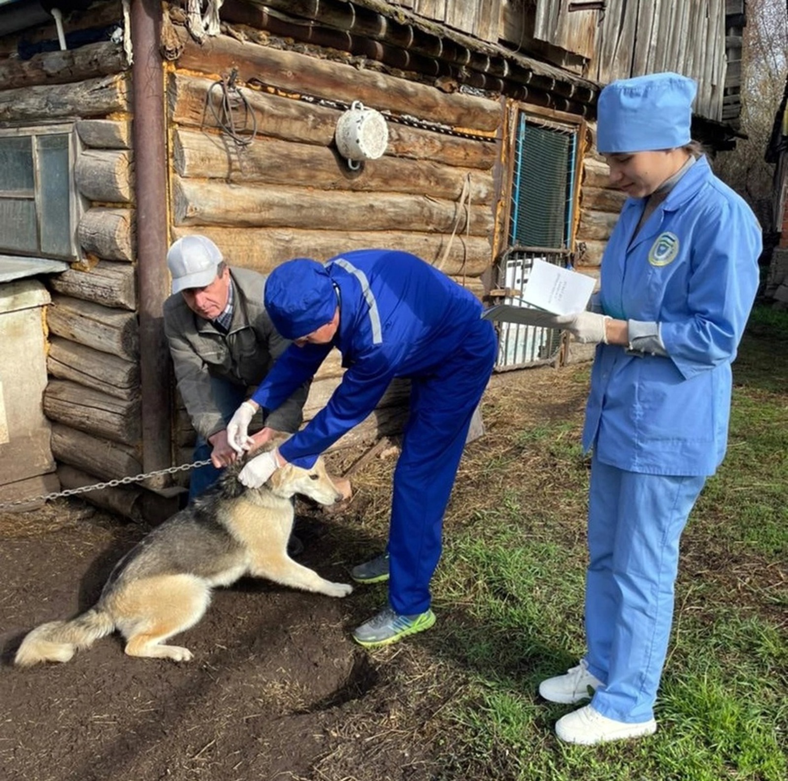 Игоря Хлопотова  Чтобы ваши питомцы были здоровы, открывайте двери для работников ветслужбы, которые проведут вакцинацию у вас на дому.