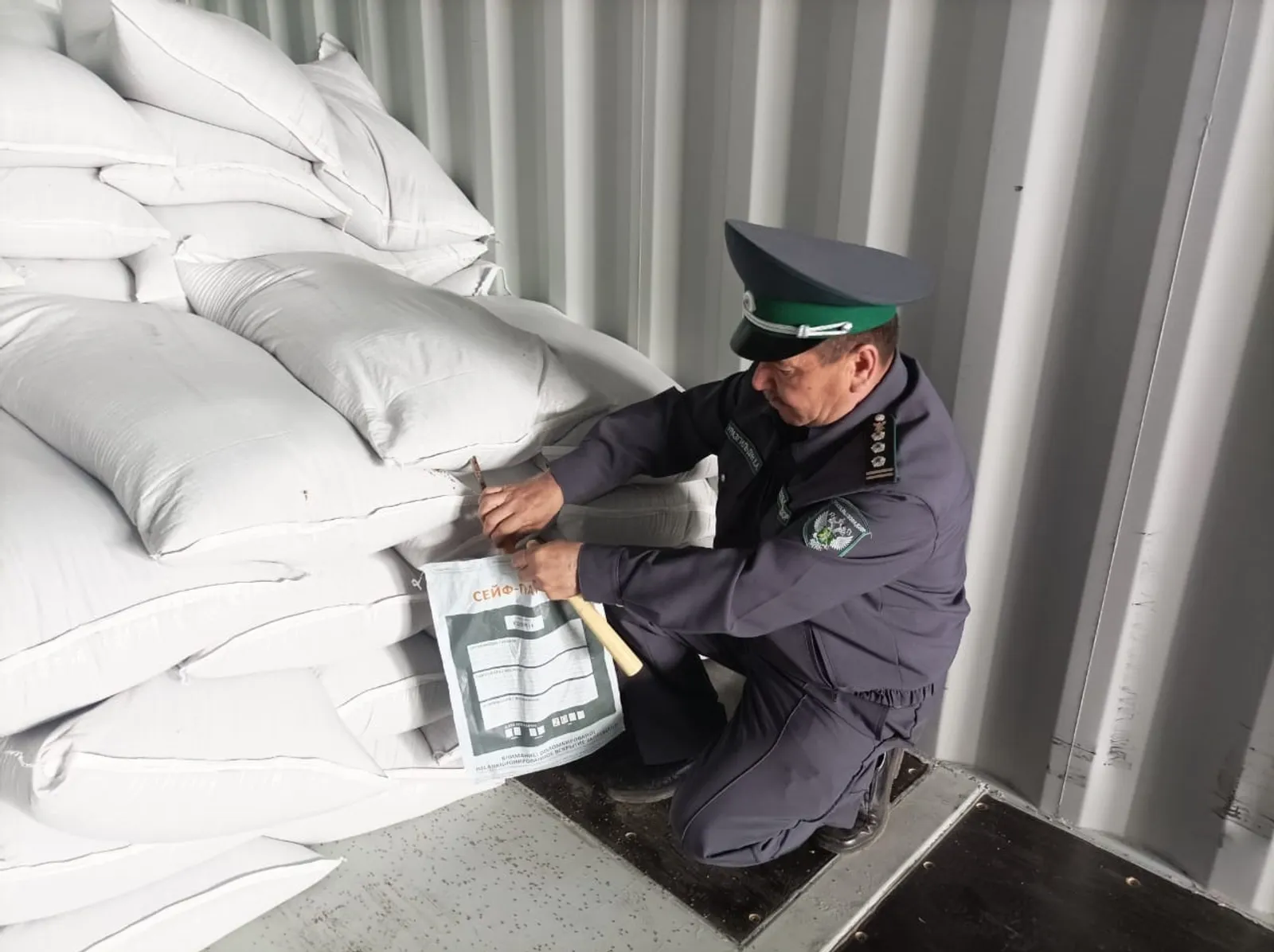 Башкирия направит партию продовольственного гороха в зарубежье