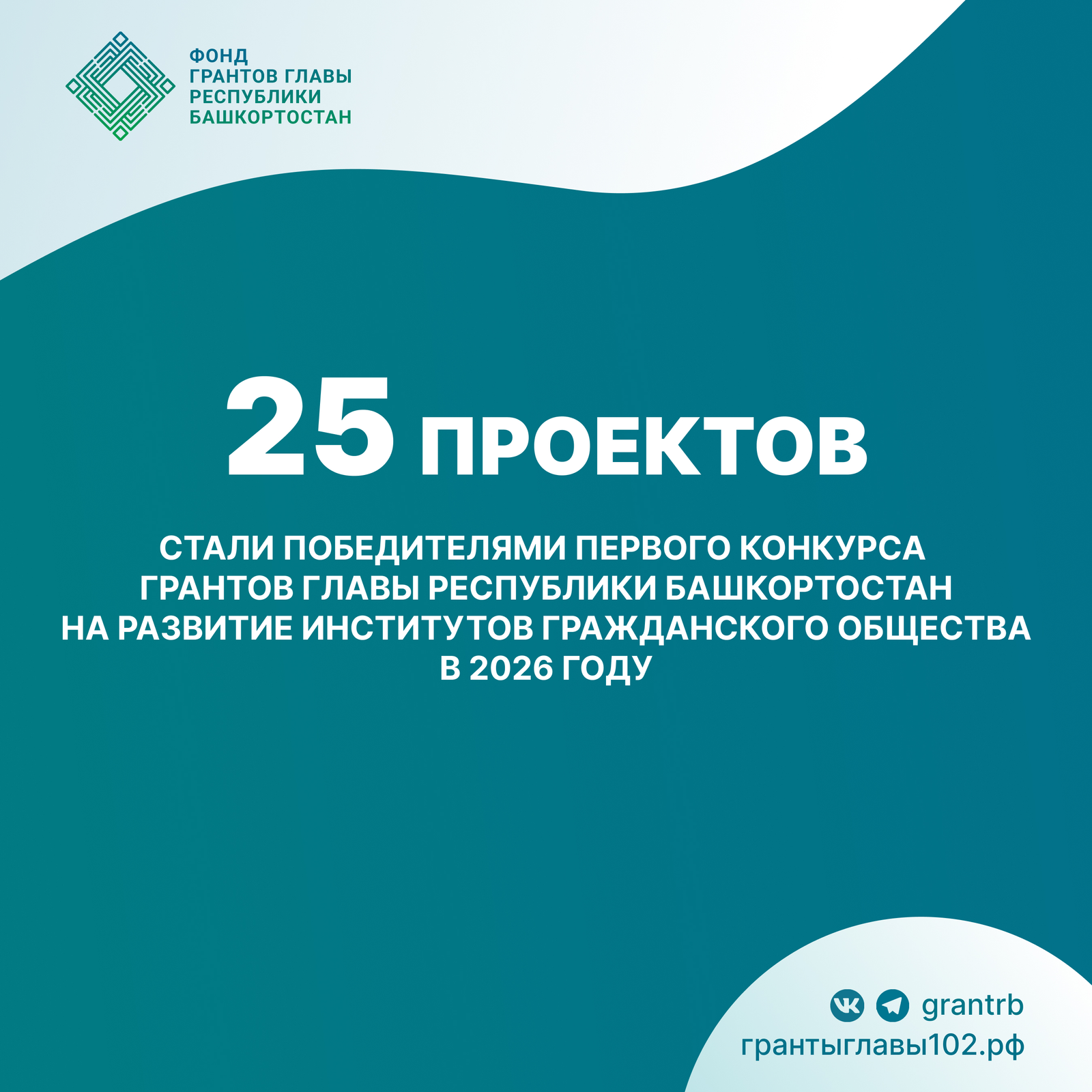 Объявлены итоги первого конкурса грантов Главы Башкортостана