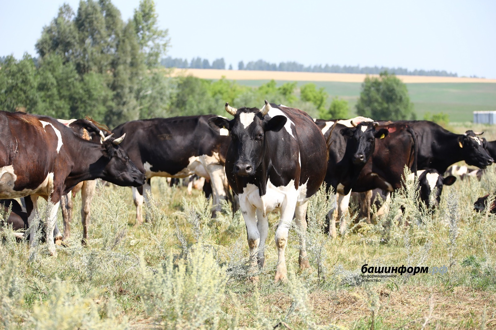 До 2025 года Башкирия получит примерно шесть миллионов рублей