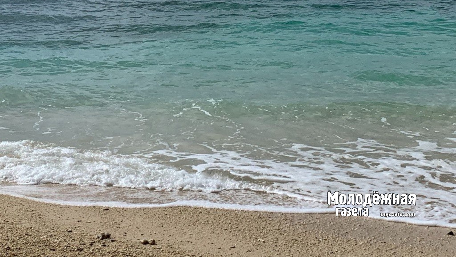 Как школьнику получить бесплатную путёвку в «Артек»