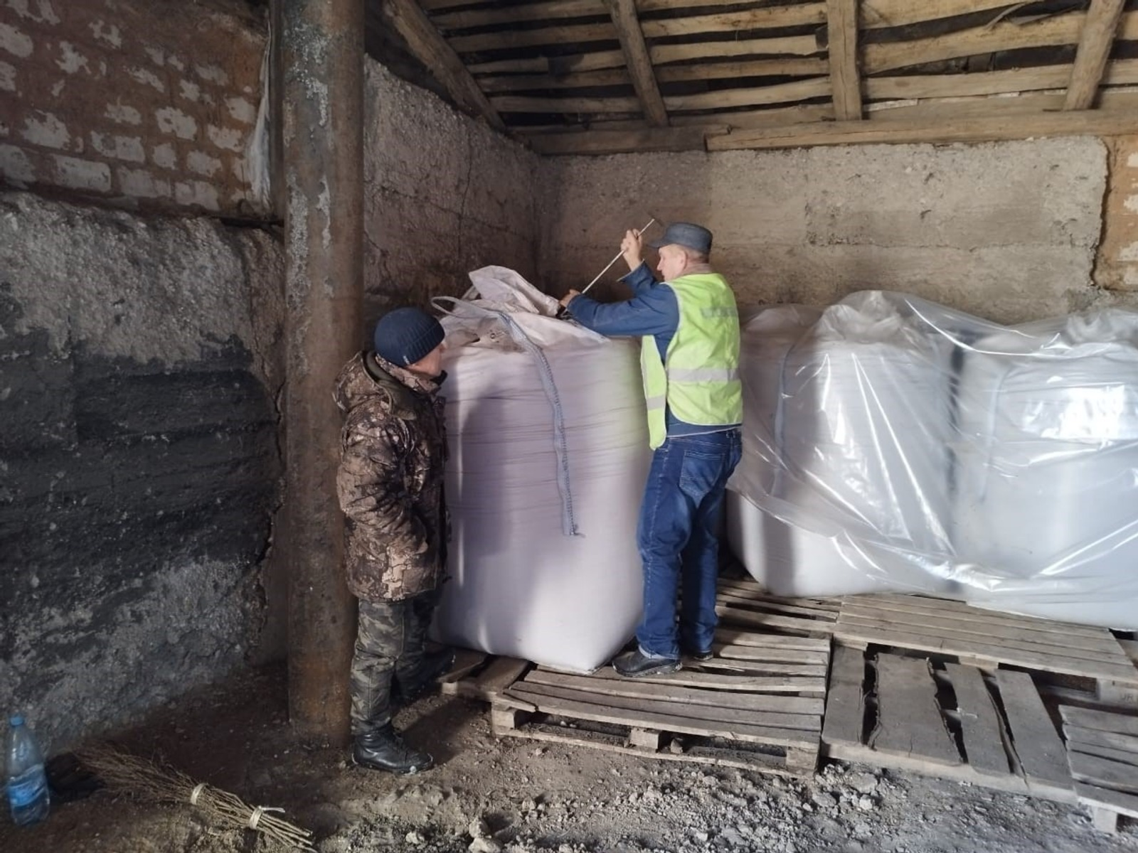 Редька из Башкирии популярна в соседнем государстве