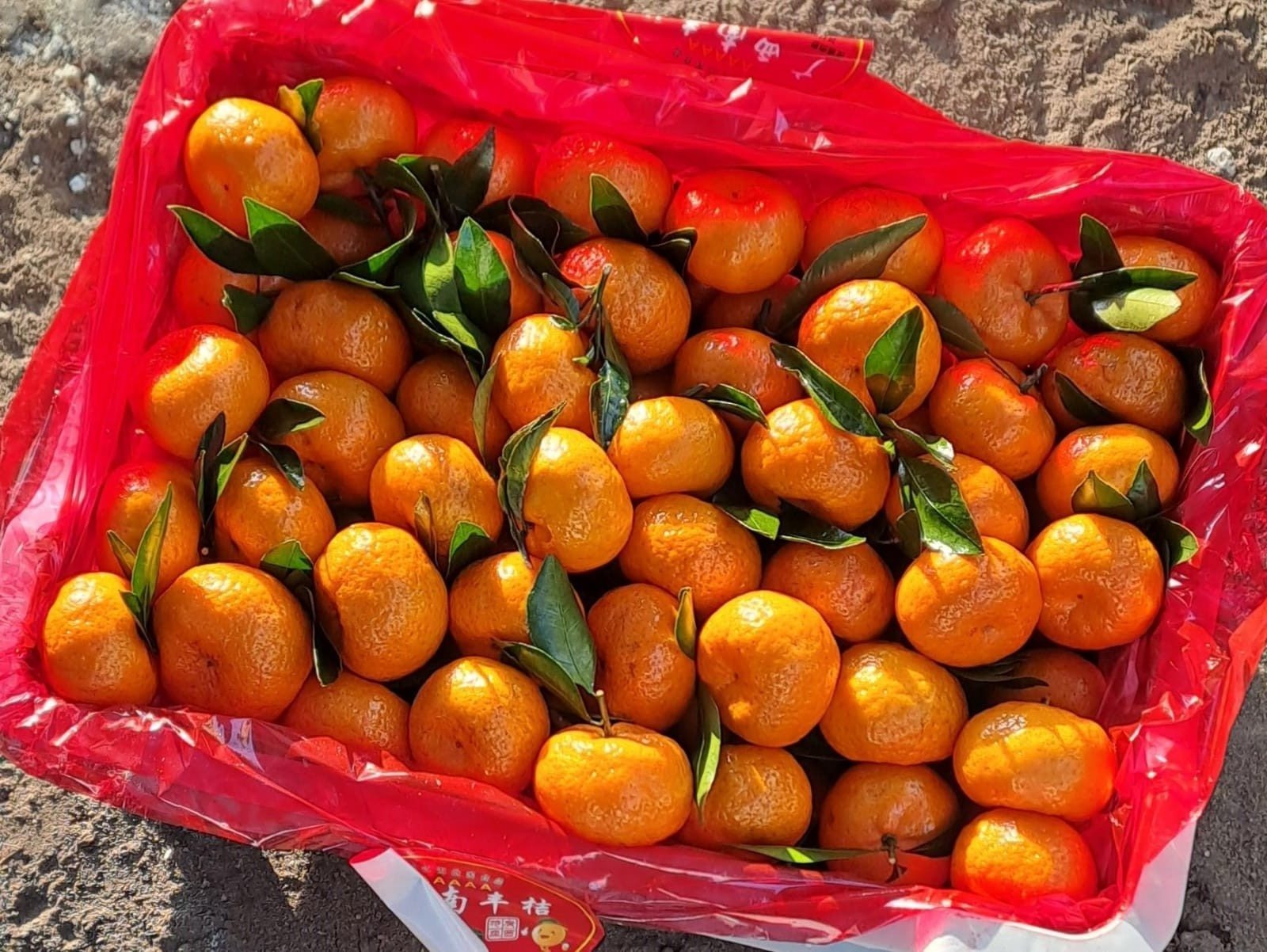 В башкирских торговых точках появилось обилие китайских цитрусовых