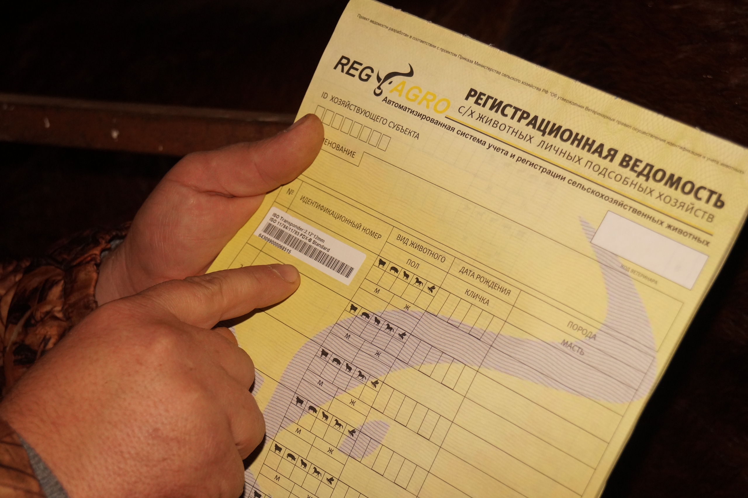 В Башкирии обсудили  идентификацию сельскохозяйственных животных