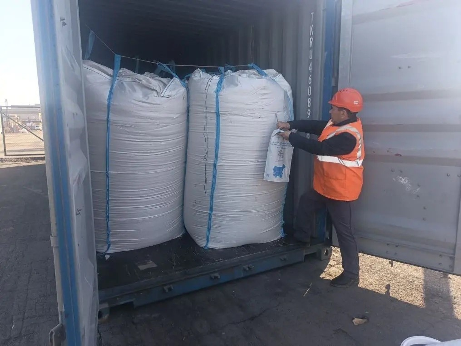 Башкирия впервые отправила овёс зарубежному партнёру