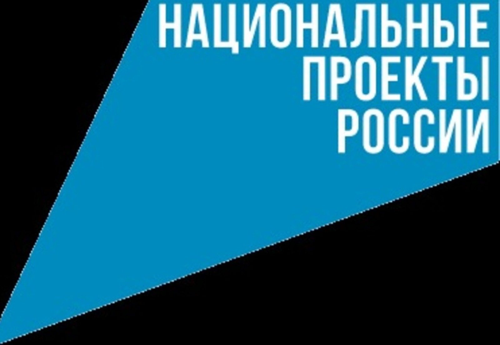 Какие нацпроекты в России жители страны считают наиболее полезными?