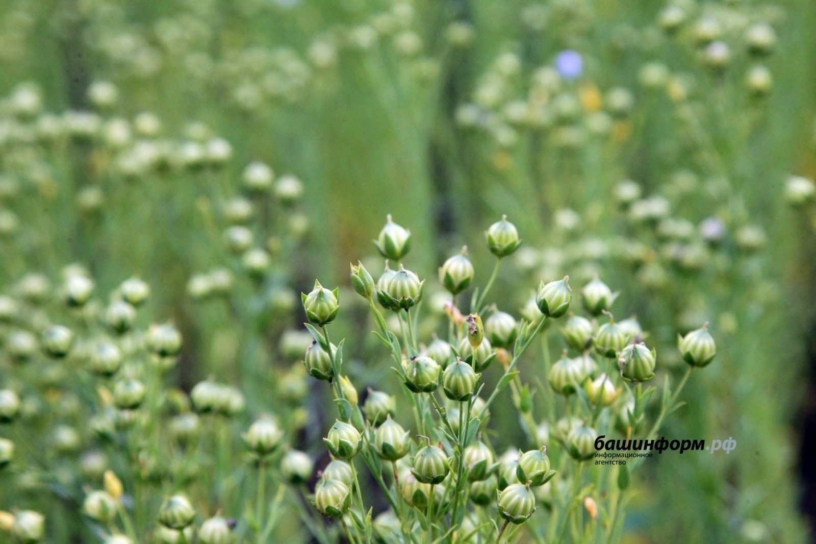 У Башкирии устойчивые торговые отношения с зарубежными государствами