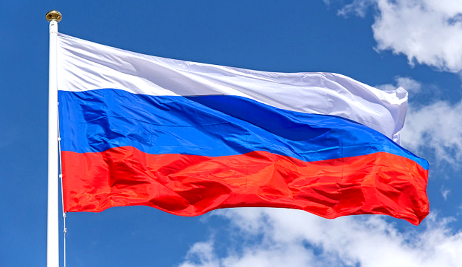 Теперь на территориях российских детсадов, колледжей и вузов будут поднимать государственный флаг