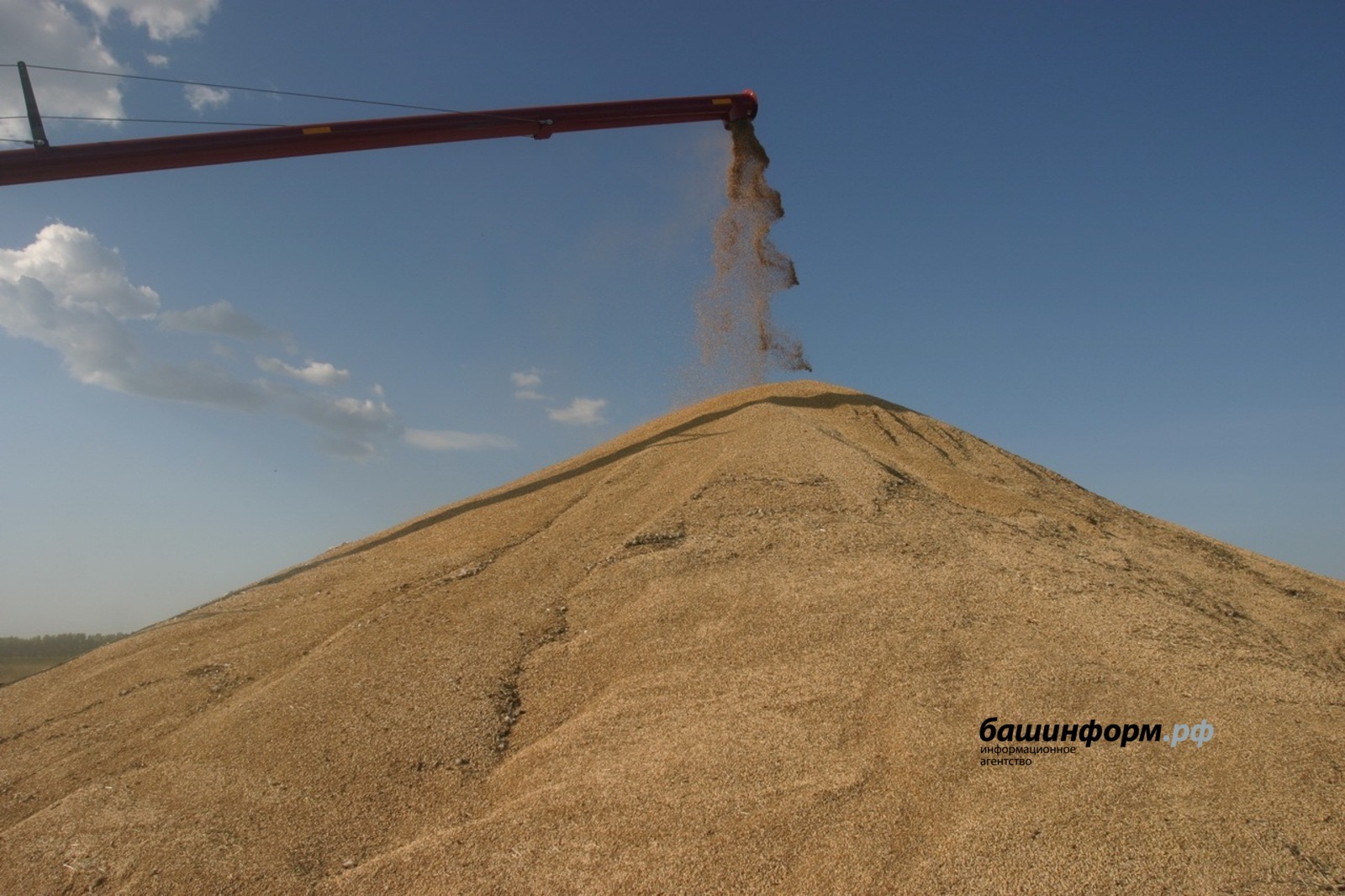 Башкирия расширяет географию экспорта зерна,