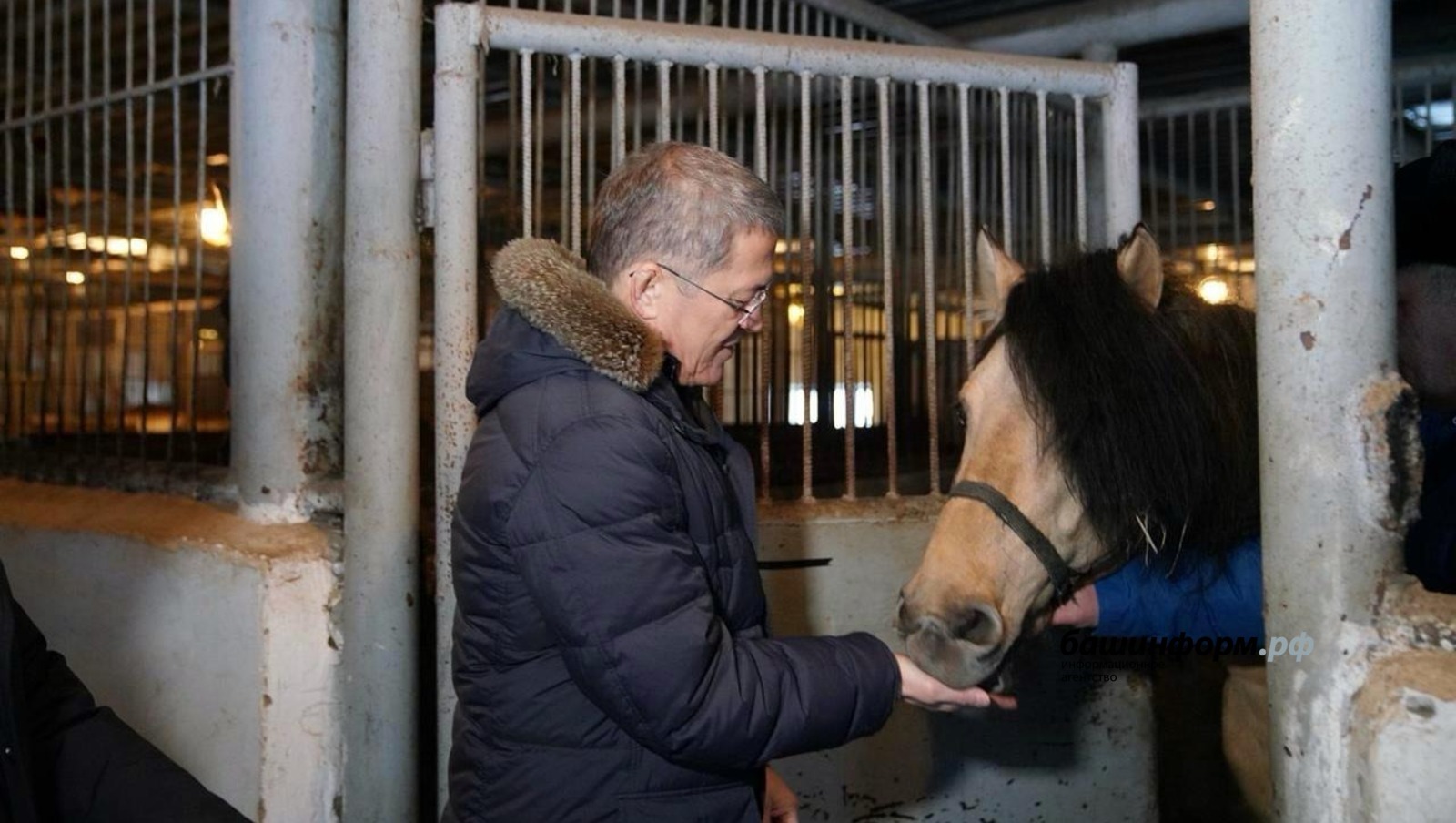 Центр лошади будет создан в Башкирии