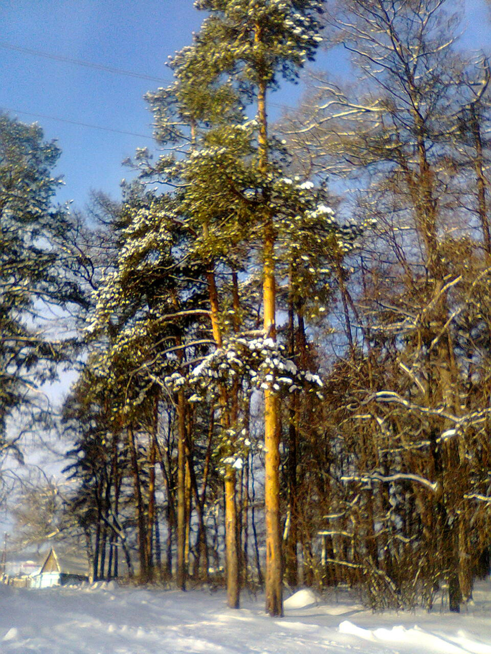 По приметам января предсказываем погоду в Башкирии в 2026 году