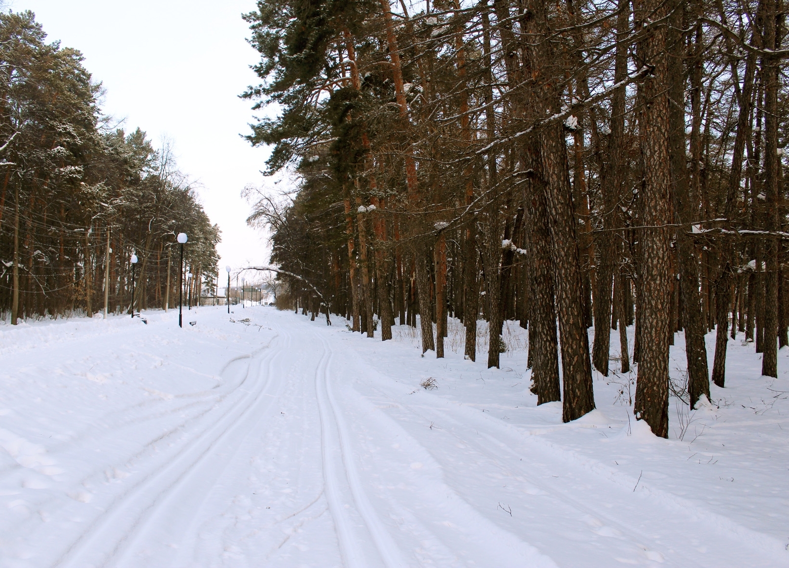 В парке села Ермолаево Башкирии проложили лыжную трассу для всех желающих