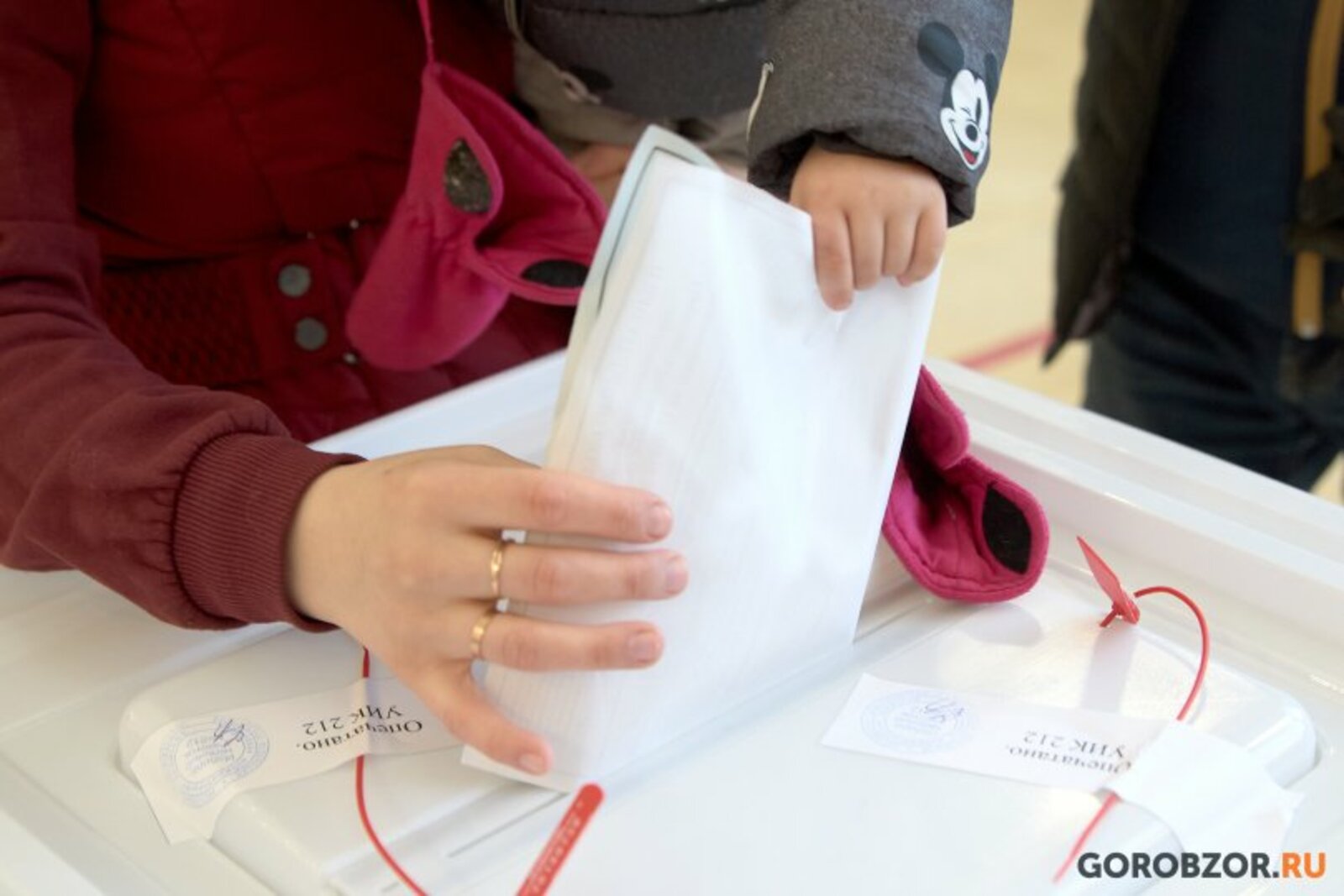 Два дня голосования в Башкирии завершены: явка на выборах президента страны 64,82%