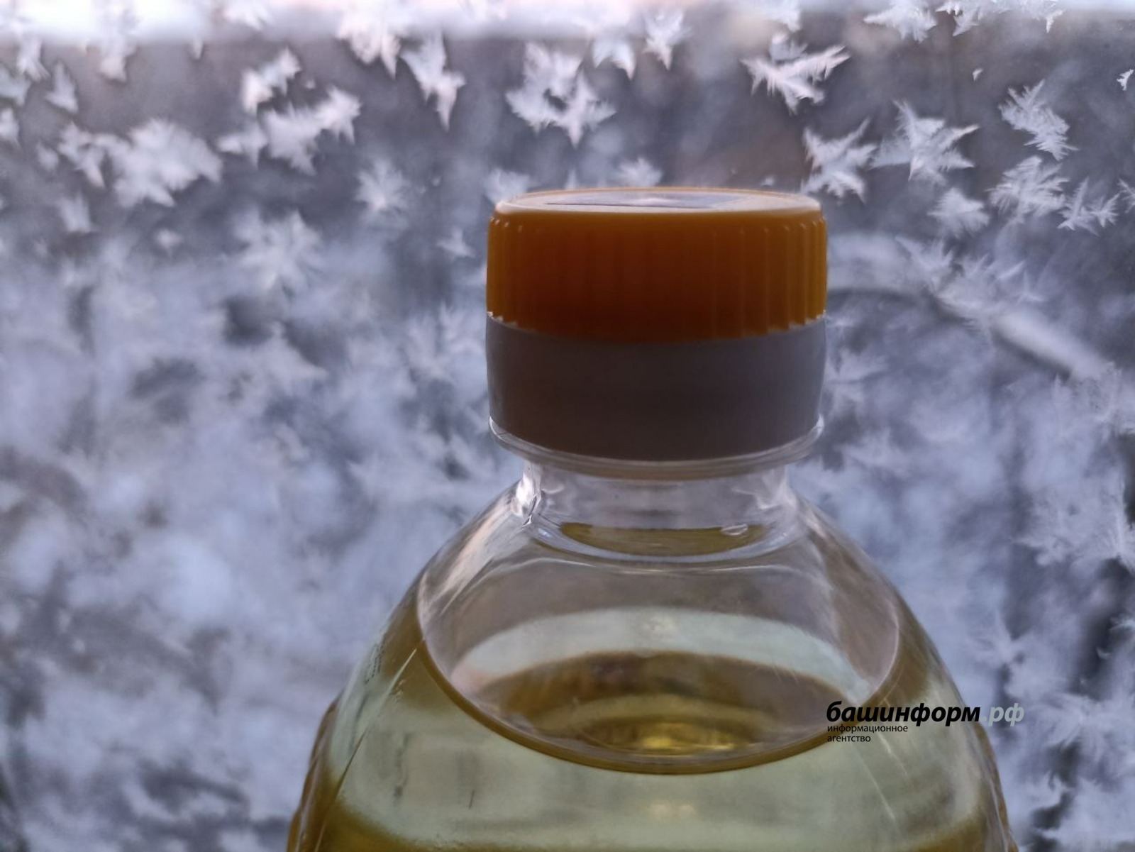 Башкирские товары хорошо известны и востребованы  в сопредельных государствах