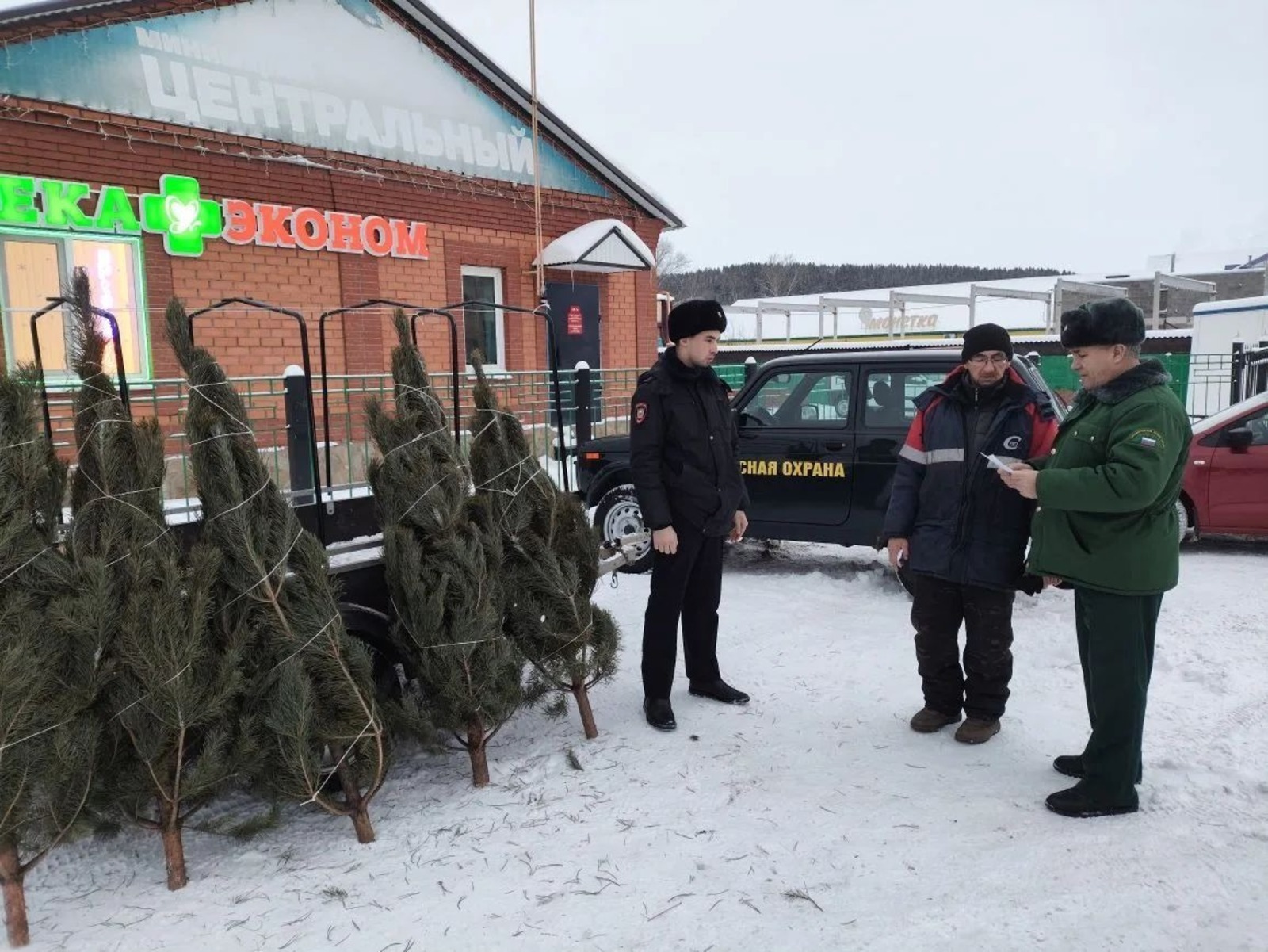 Контроль над заготовкой хвойных насаждений в Башкирии продолжается